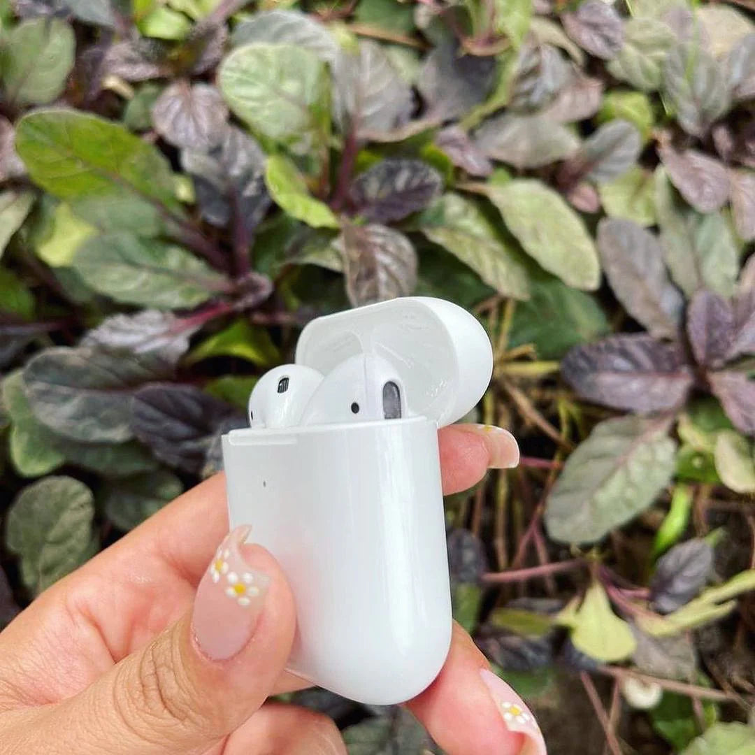 AirPods 2 | White